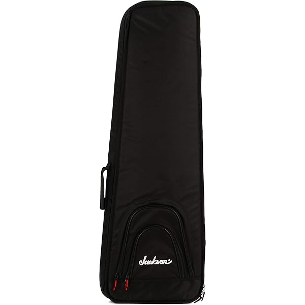 Amazon.com - Jackson Dinky/Soloist 6/7-string Economy Case